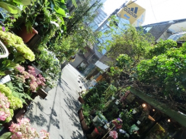 「フロリスト・メリー」　（大阪府大阪市北区）の花屋店舗写真3